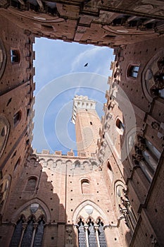 The Mangia tower, Siena, Italy