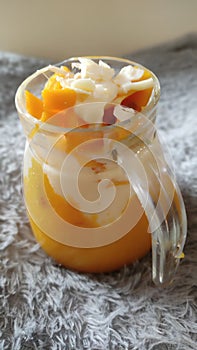 Mango Bliss Delight with Creamy Cheese Drizzle