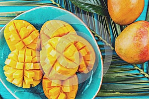 Mango on blue plate. Blue background, palm tree leave, tropical concept