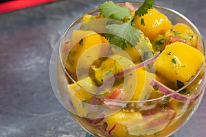 Mango ceviche vegetarian and vegan Mexican food