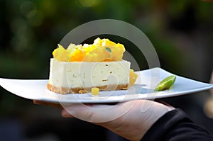 Mango cheese cake , mango cheese pie