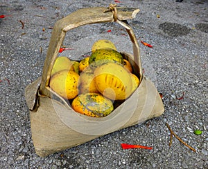 Mango a chupar in a plant made basket photo