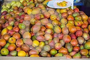Mango Display at Market Stall