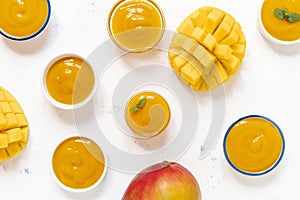 Mango Exotic Fruit Mash Baby Food Top View