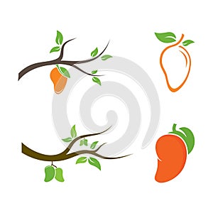 Mango in flat style. Mango vector logo