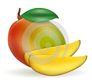 Mango fresh ripe exotic fruit vector illustration
