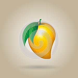 Mango fruit contour abstract on stark white background