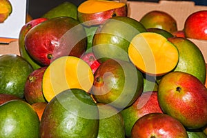 Mango Fruit at Farmers Market Farm Fresh