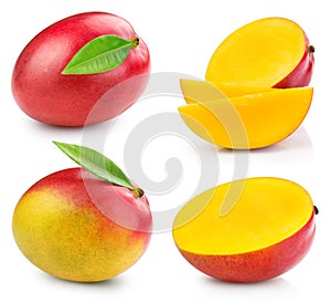 Mango fruit isolated