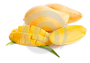 Mango fruit