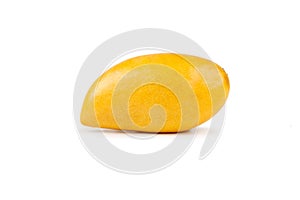 Mango fruit isolated white background