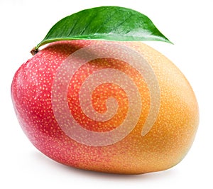 Mango fruit with leaf isolated on a white background.