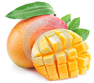 Mango fruit with leaf isolated on a white background.