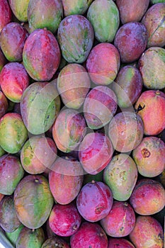 Mango fruit photo
