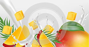 Mango fruit with milk splash Vector realistic. Detailed elements design. 3d illustrations