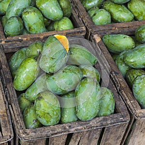 Mango Fruit shop in Sri Lanka