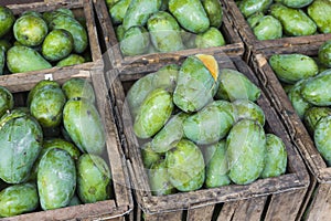 Mango Fruit shop in Sri Lanka