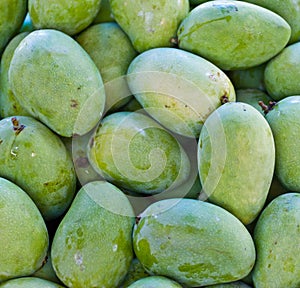 Mango fruit , thailand