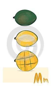 Mango fruit. Vector art. Green red mango, half and sliced peace of exotic  tropical fruit.