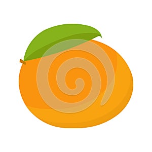 Mango fruit vector isolated on white background
