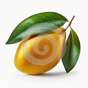 Mango fruit on a white background.