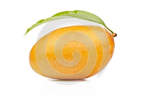Mango fruit