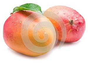 Mango fruits with water drops.