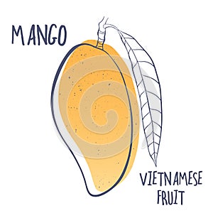 Mango icon. Vector illustration of tropical Vietnamese fruit. Design for brochures, restaurant menu and market.
