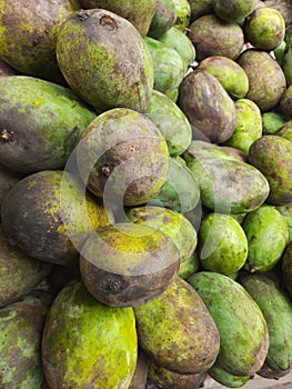 Chausa, he named his favourite mango as 'chaunsa' photo