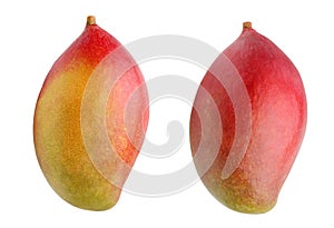 Mango, isolated on white background.