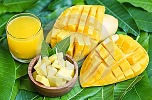 Mango juice glass with mango slice on mango leaves from tree tropical summer fruit concept - Sweet ripe mangos