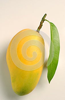 Mango and leaf