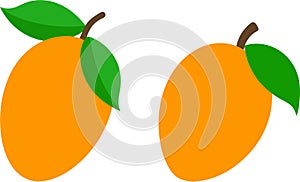 Mango with leaf vector illustration