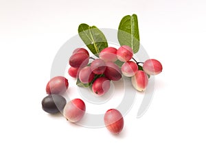 Mango Lime yawn yell