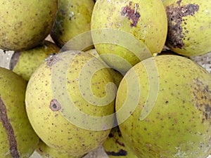Mango (Limus) ackground