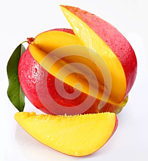 Mango with lobules