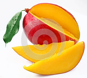 Mango with lobules.