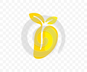 Mango, mango juice, fruit, food and meal, graphic design