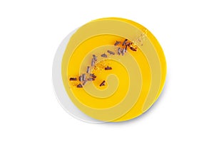 Mango mousse cake on a white isolated background