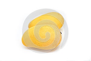 Yellow mango on the background isolate