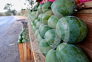 Mango Sales Stand, Sumbawa Island, Indonesia