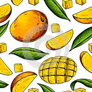 Mango seamless pattern. Vector drawing. Hand drawn tropical fruit