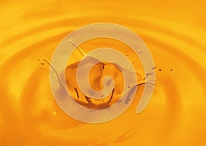 MANGO SPLASH ON THE MANGO PULP MANGO MILK SHAKE FRESH MANGO PULP