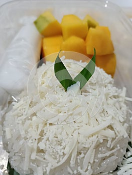 Mango sticky rice