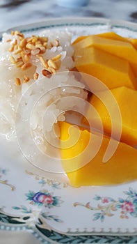 Mango Sticky Rice