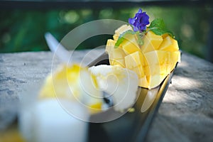 Mango sticky rice coconut milk. traditional Thai dessert