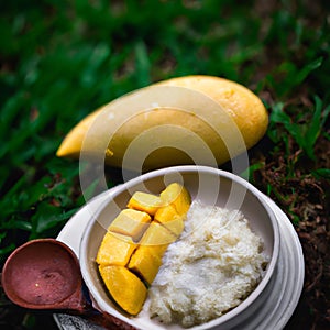 Mango Sticky Rice , a popular Thai dessert for centuries