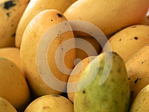 Mango