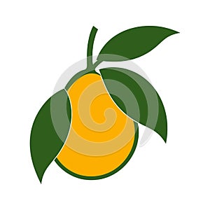 Mango symbol with leaf icon colorful vector