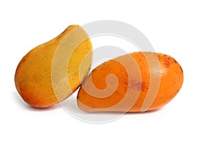 Mango tropical fruit isolated on white